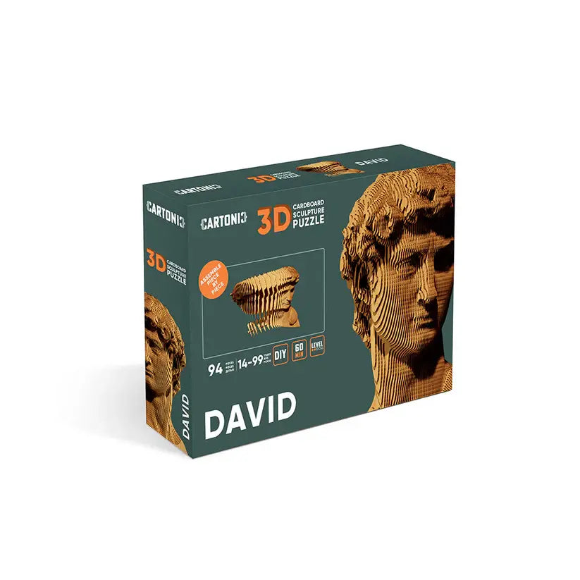 3D Puzzle - David bij Michelangelo