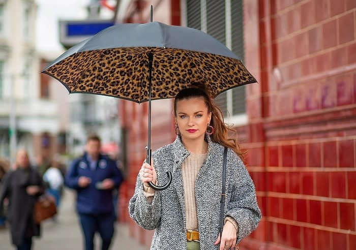 Parapluie Bloomsbury - Lynx