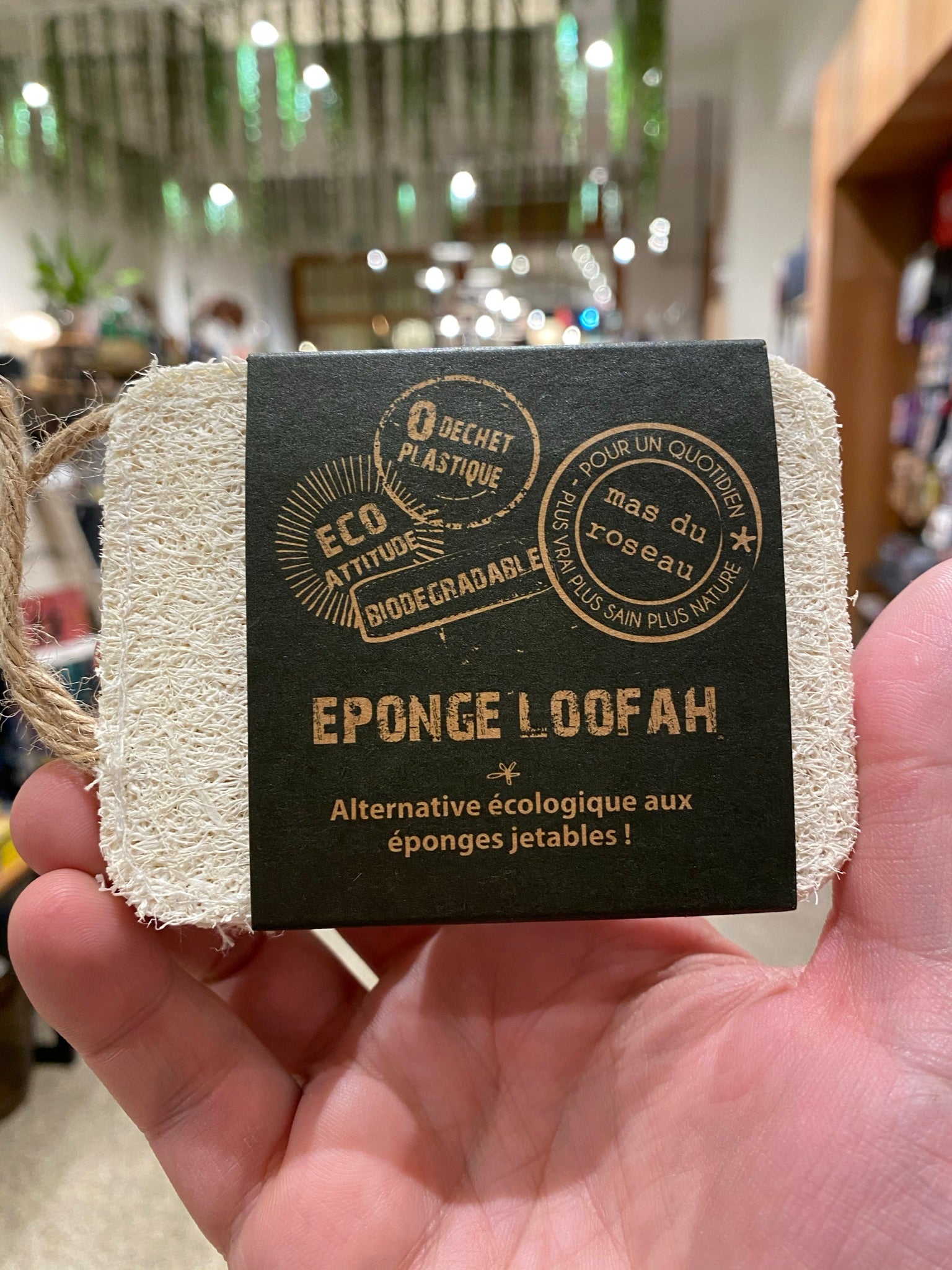 Eponge loofah