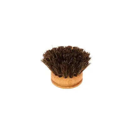 Replacement head for beech dish brush