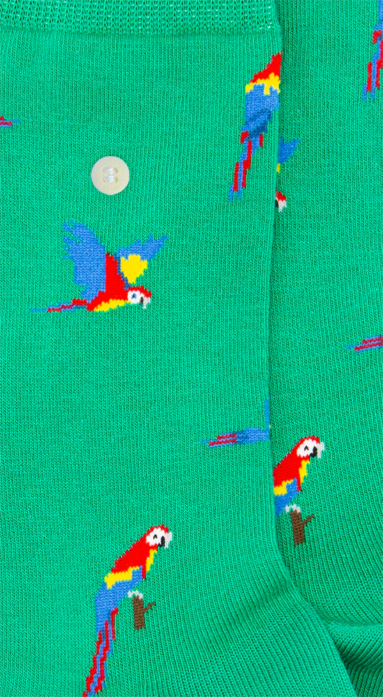 Socks - Parrots - Green