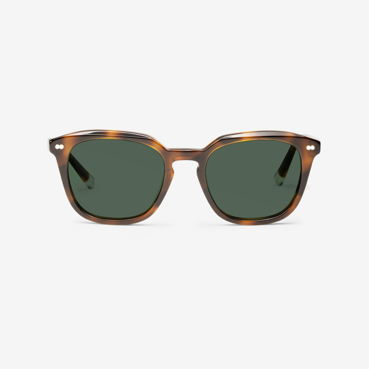 Clover Tortoise Sunglasses 