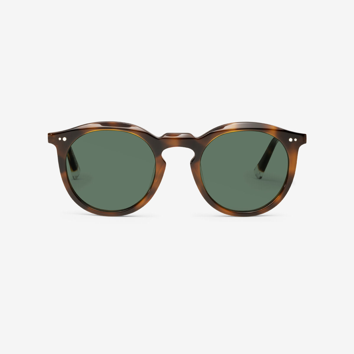 Robb Tortoise Sunglasses 