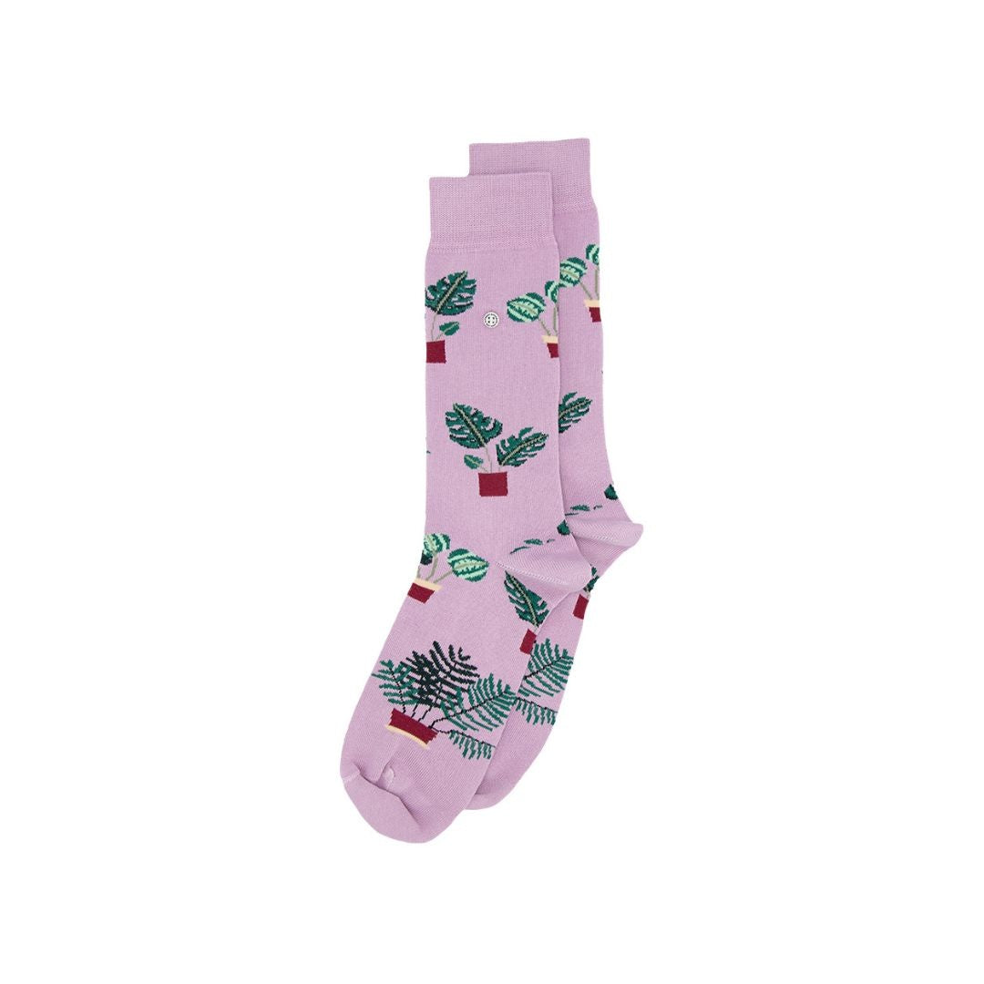 Chaussettes Plantes dans un Pot