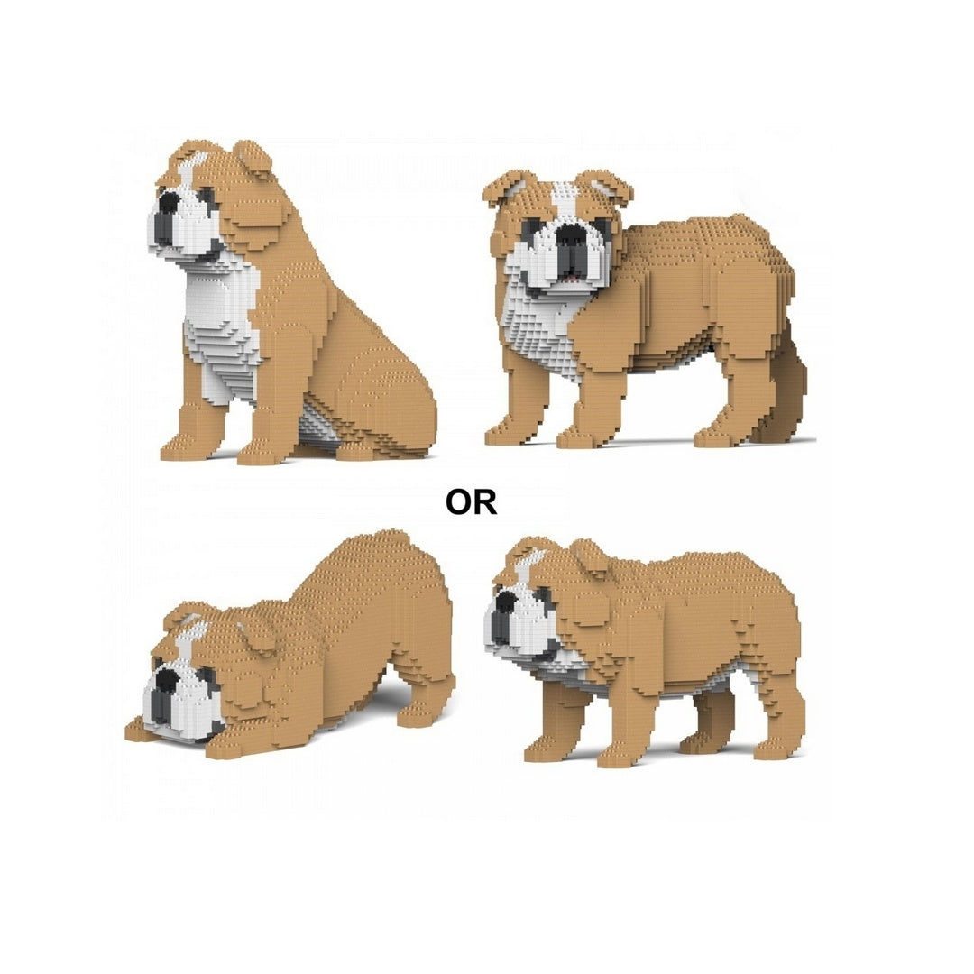  Building Set (4 in 1) - English Bulldog Dog