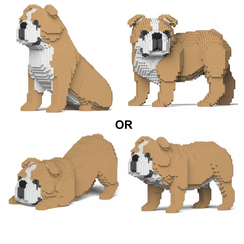  Building Set (4 in 1) - English Bulldog Dog