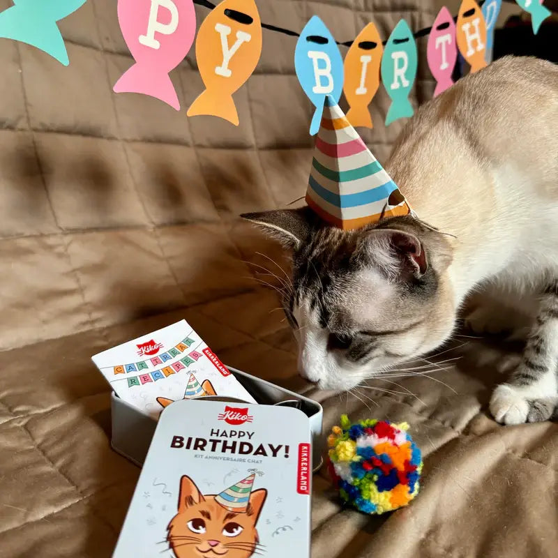 Birthday kit for Cats