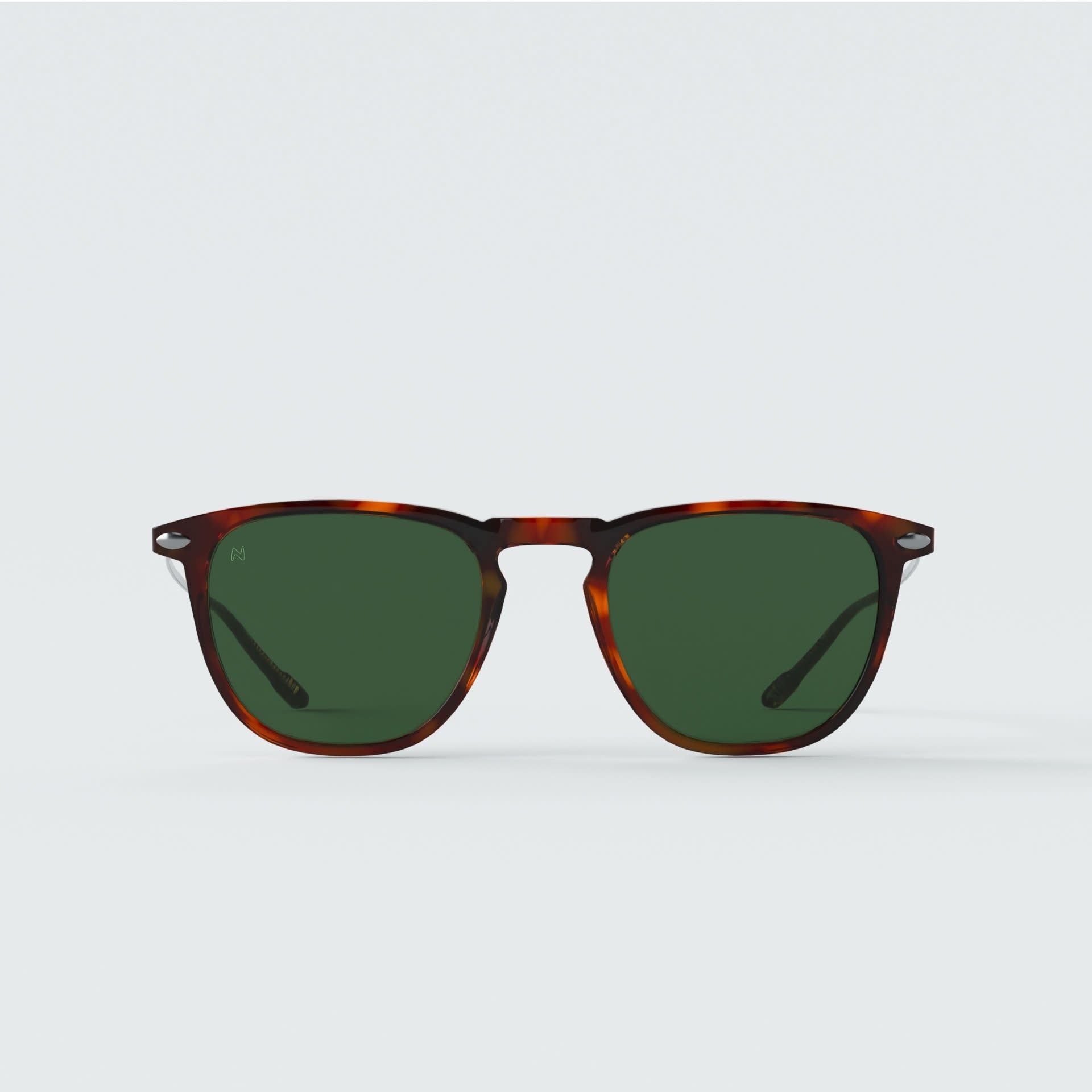 Dino Tortoise Sunglasses