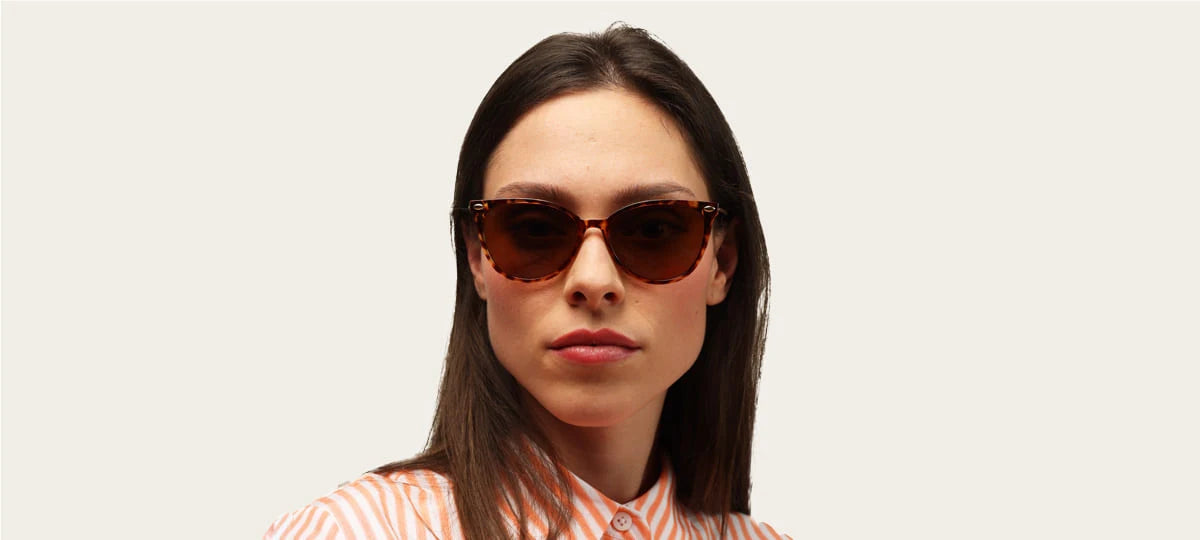 Ivy Tortoise Sunglasses 