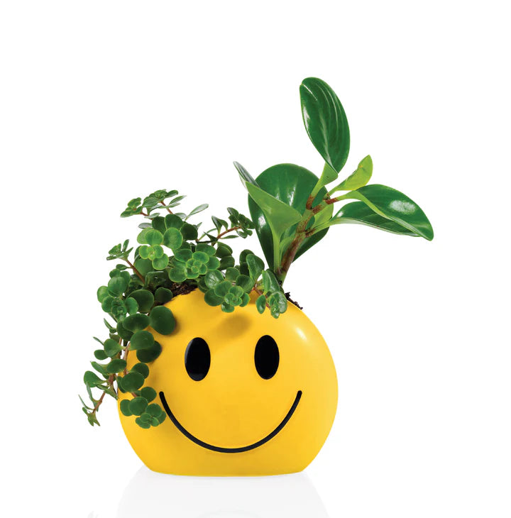 Mood Sunshine Flower Pot