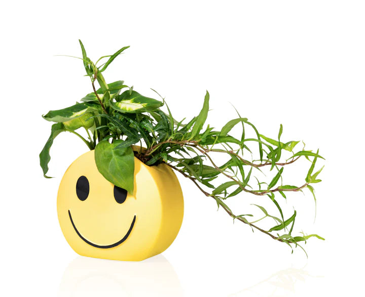 Mood Sunshine Flower Pot