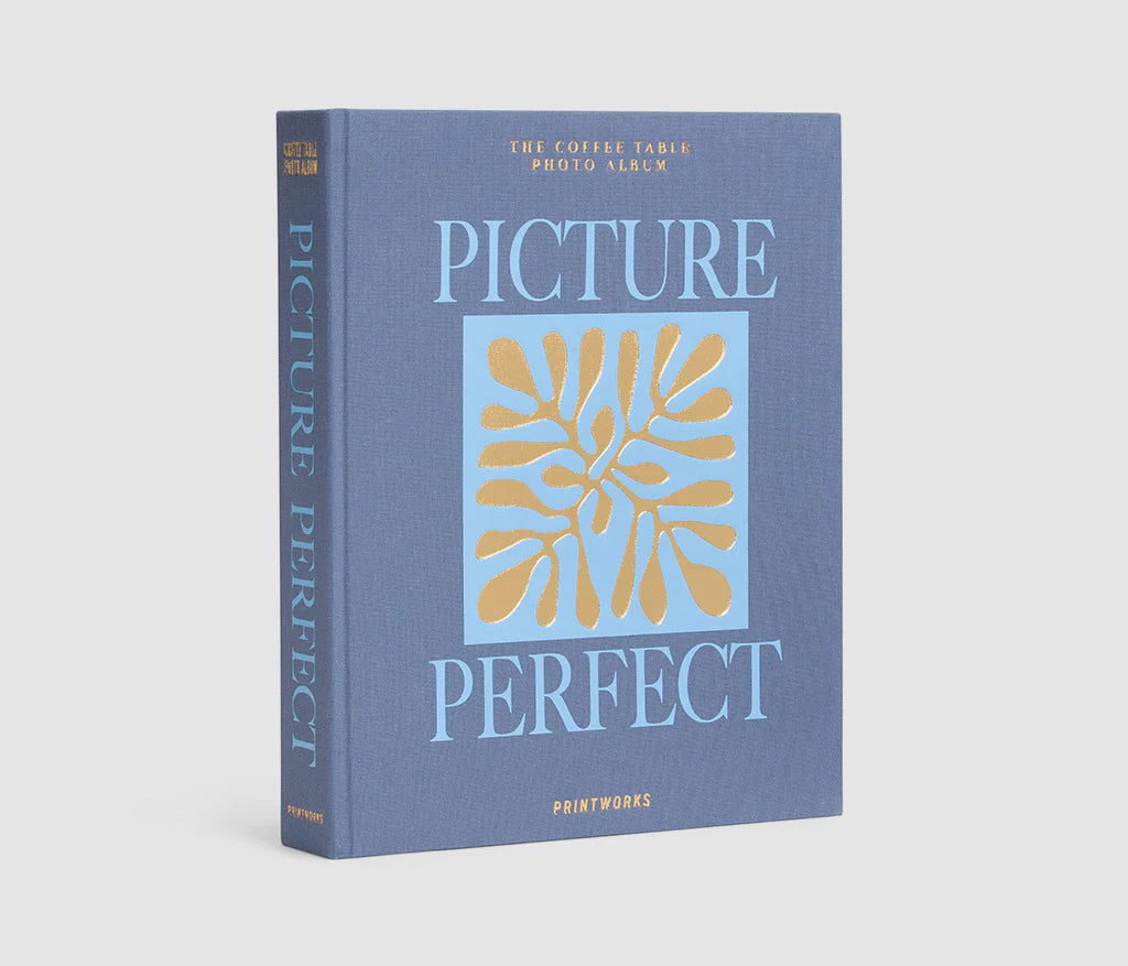 Album Photo - Picture Perfect Bleu