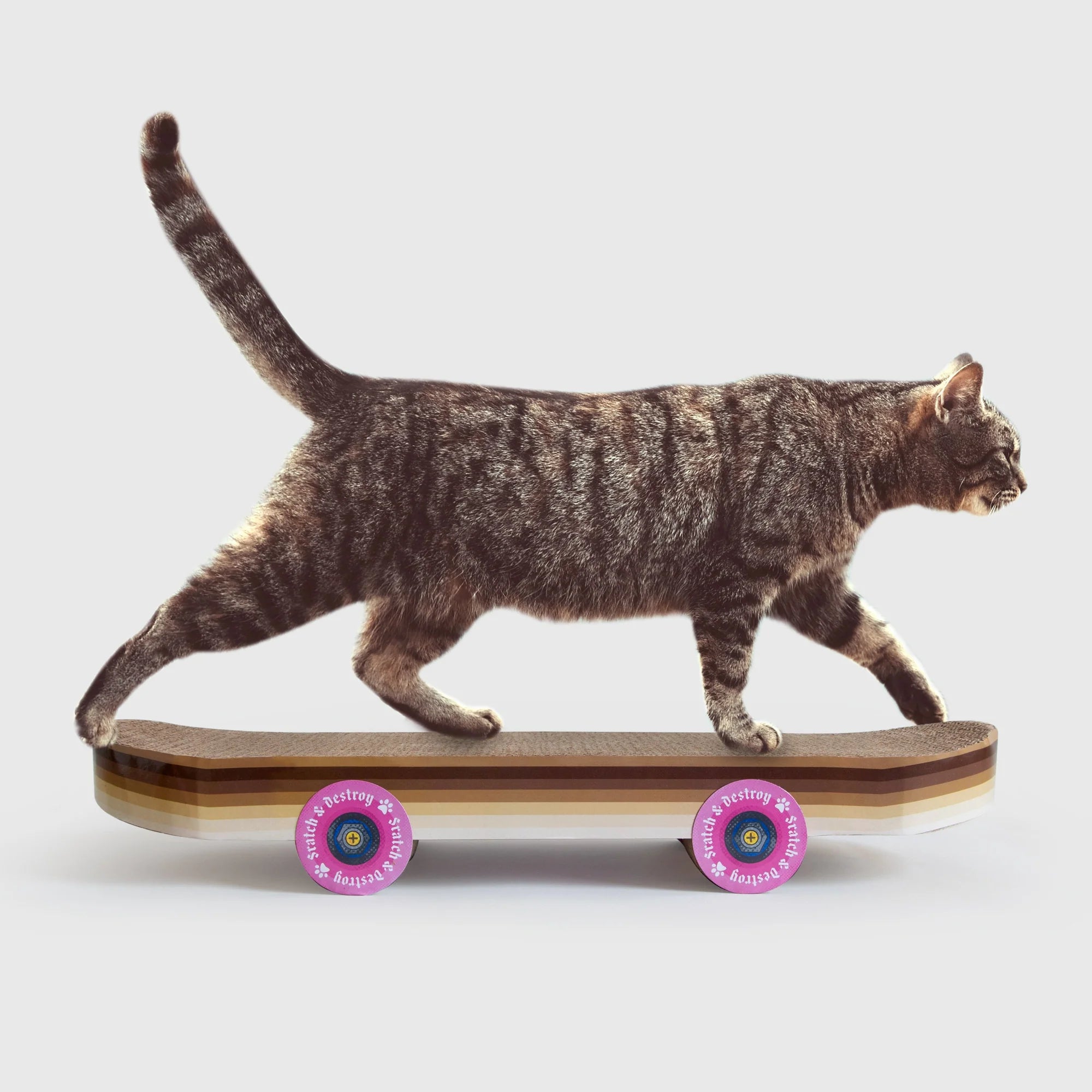 Cat Scratcher - Skateboard