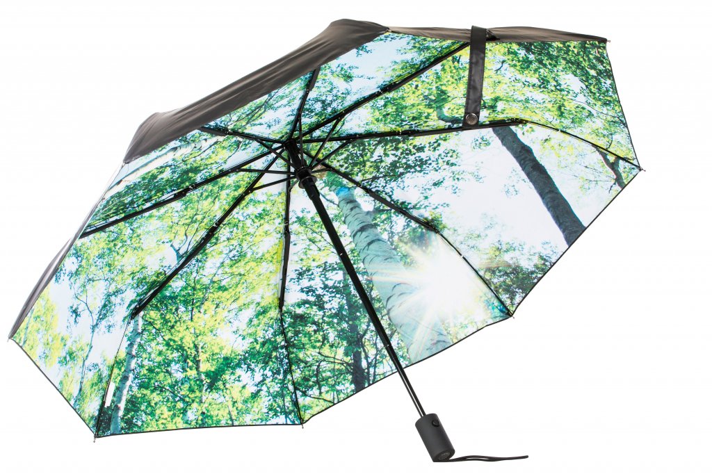 Parapluie Forest