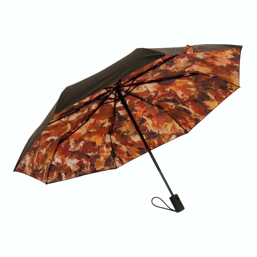 Parapluie Höst