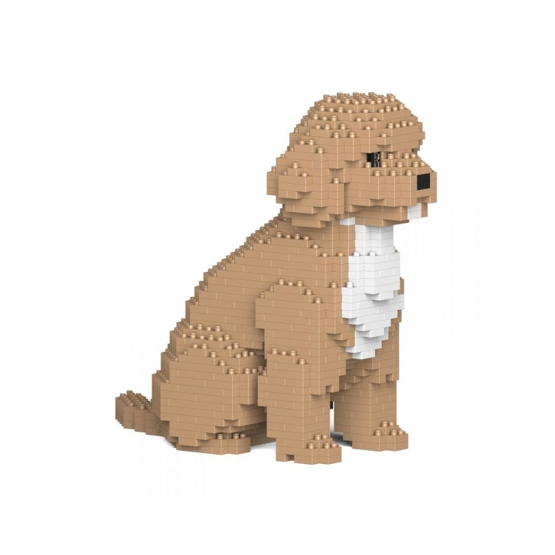 Building Set Beige Cockapoo dog