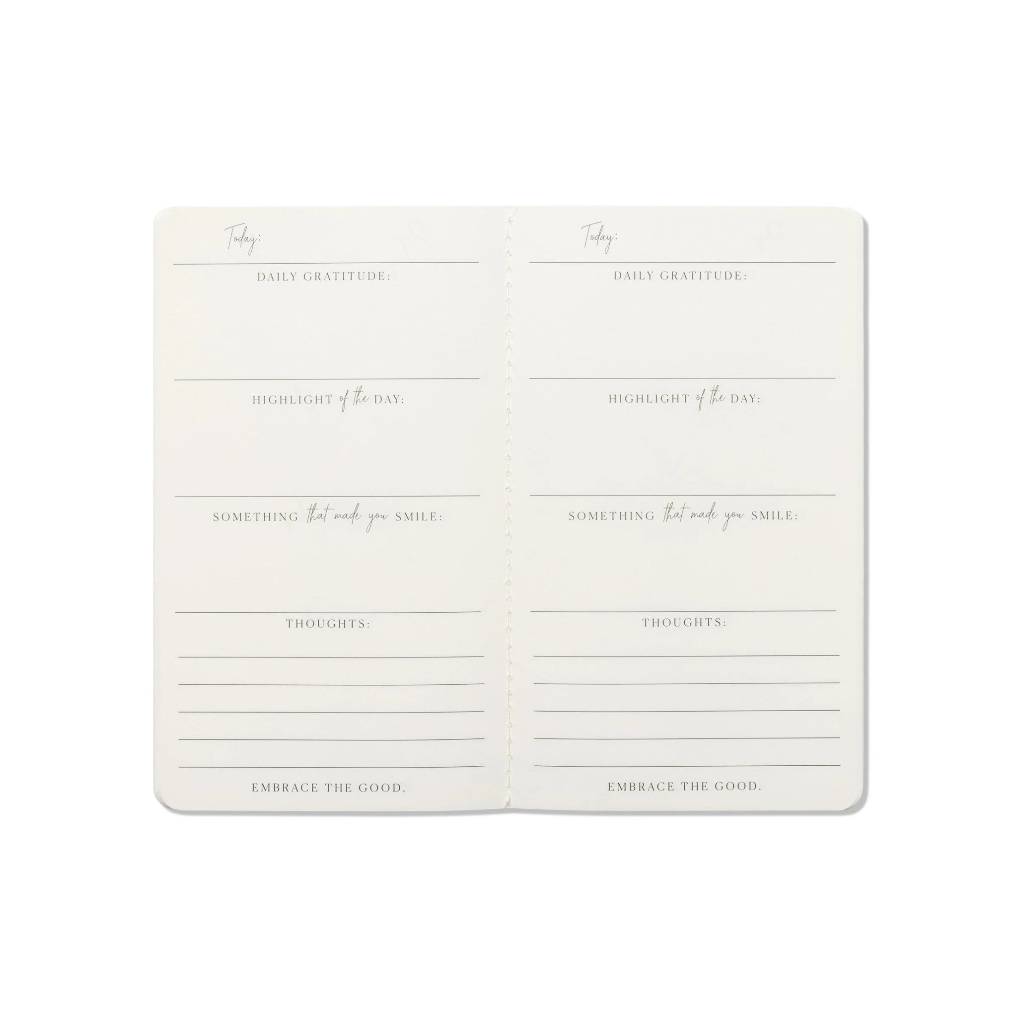 Set of 3 Wellness Agendas 