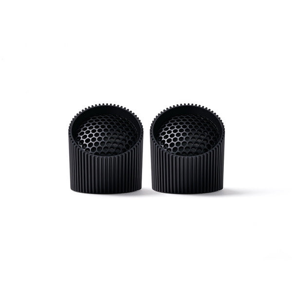 Magnetic Speaker Duo - Ray Matt Black 