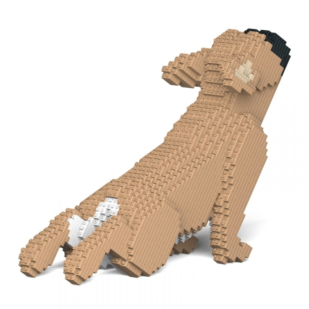 Building Set French Bulldog Dog Fauve Yoga