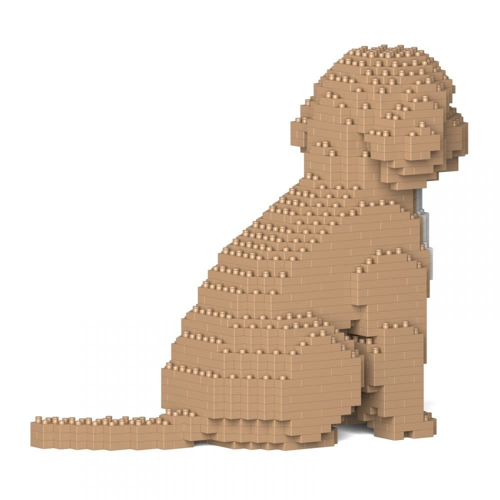 Building Set Beige Cockapoo dog