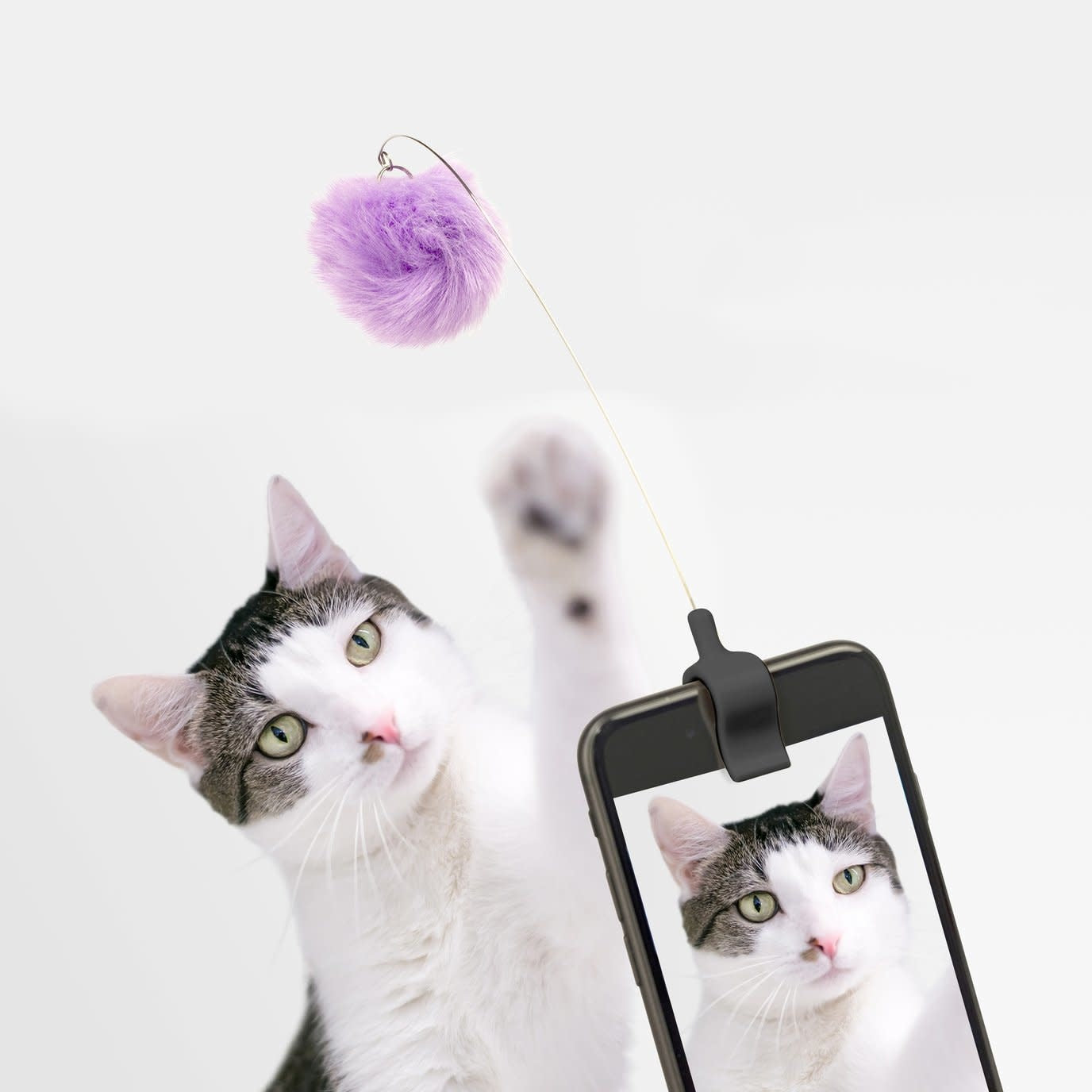 Kitty telefoonclip