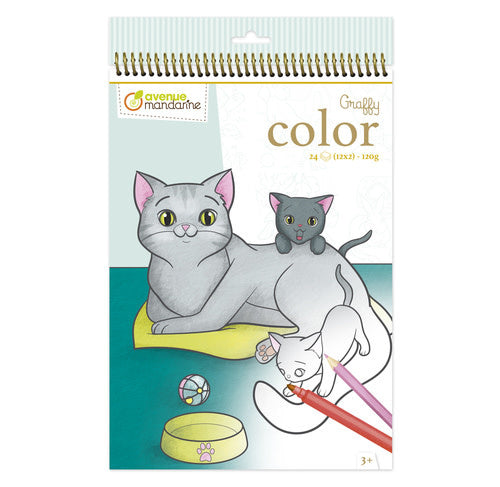 Carnet de coloriage: Graffy color